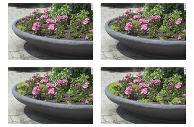 Public Space Quality Catalogue entry describing the image quality levels of flower boxes from A to D