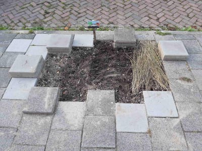 Action 1:removing pavement